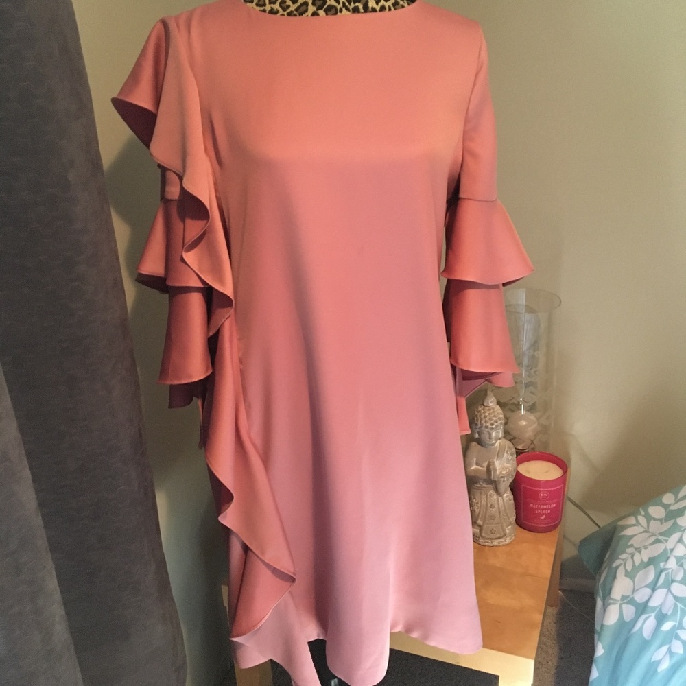 Ted Baker Dress